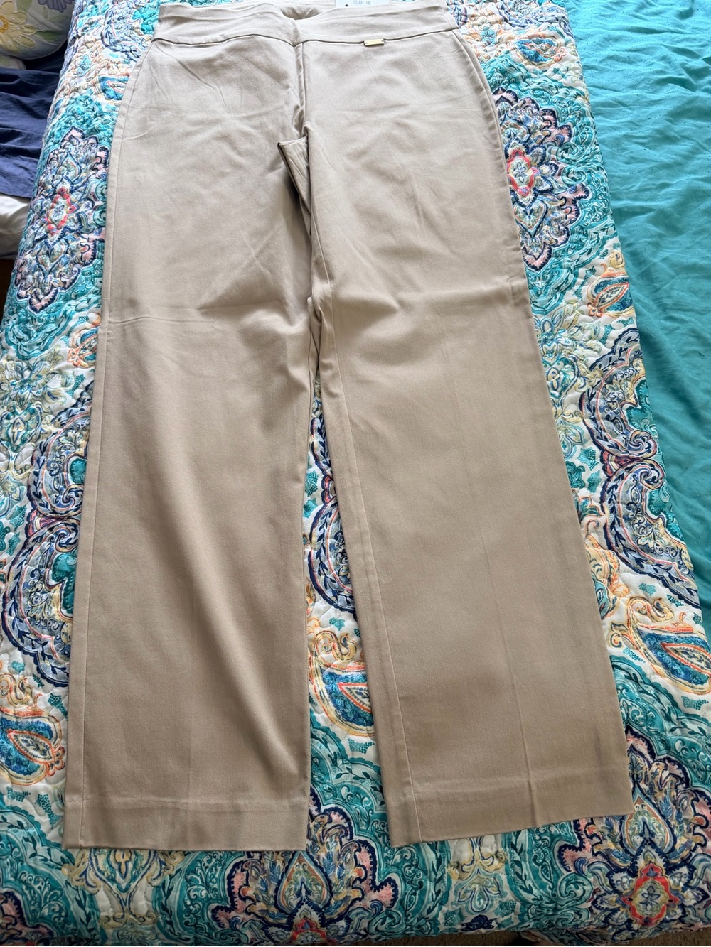 Classic Straight-Leg Pants in Beige